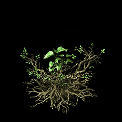 ţ˷-ǵ--NPC辰-----PNG9110 :15206680826 ID:62575 