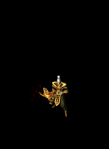 4ιز ׼360ͼ5181 :ѻ ID:63708 