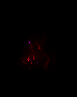 ţ˷-ѪЧ18293 :a149946620 ID:63866 