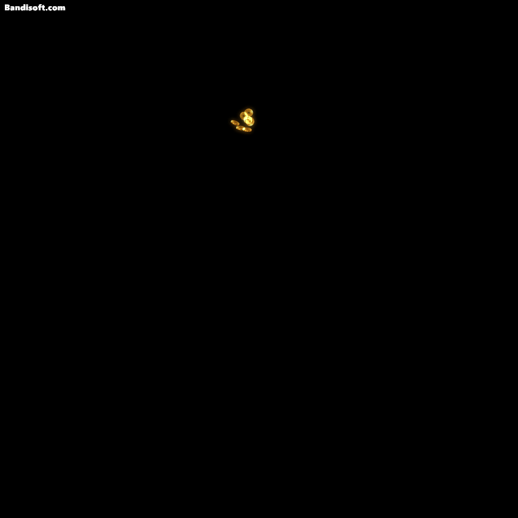ţ˷-ز-䱦Ǯ콵Ʊ9009 :a149946620 ID:63868 