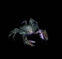 ˮϵز186942 :ѻ ID:64073 